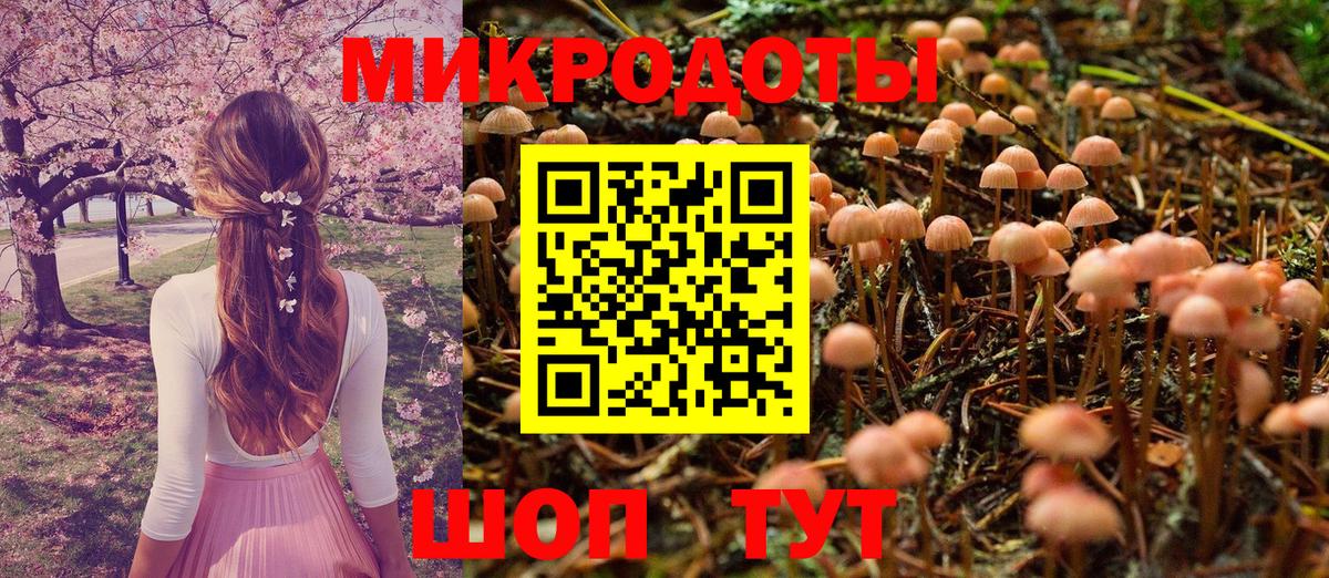 Псилоцибиновые грибы мицелий  цены   Соль-Илецк  Вход с VPN 
