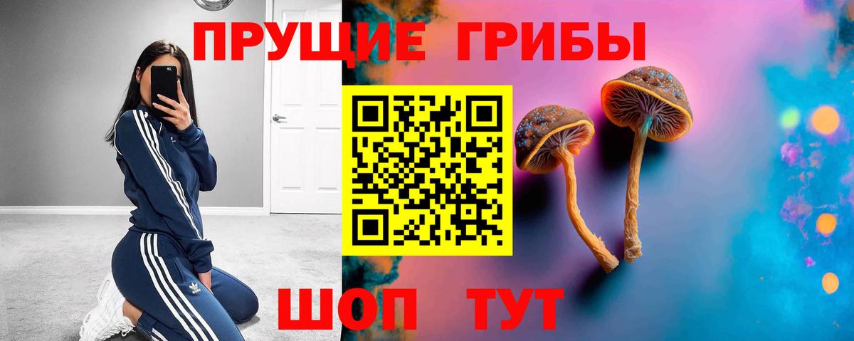 Псилоцибиновые грибы GOLDEN TEACHER Соль-Илецк